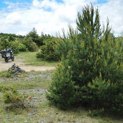 Parc Naturel Régional des Grandes Causses