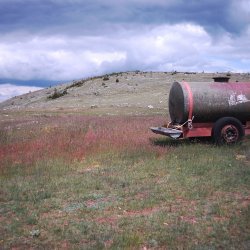 Quelque part sur la Causse Méjan