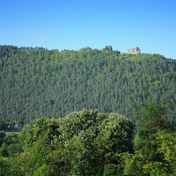 Lion de Balsièges (Lozères)