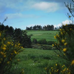 Lozères, quelque part près du col de Can de la Roche