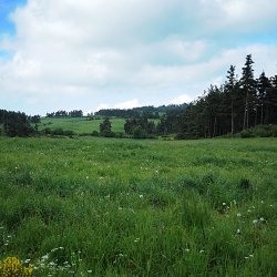 Lozères, quelque part près du col de Can de la Roche