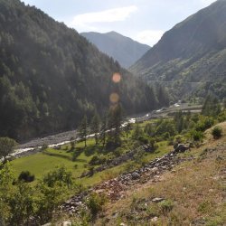 20130724-183342-001-N