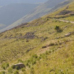 20130724-184752-001-N