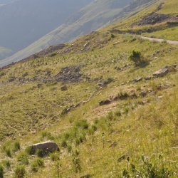 20130724-184754-001-N