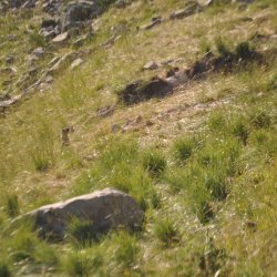 20130724-185006-001-N