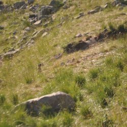 20130724-185008-001-N