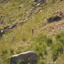 20130724-185022-001-N