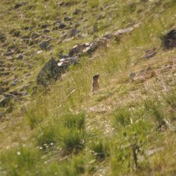 20130724-185044-001-N