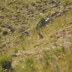 20130724-185056-001-N