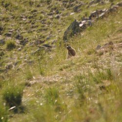 20130724-185056-002-N