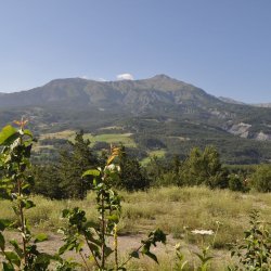 20130725-093230-001-N