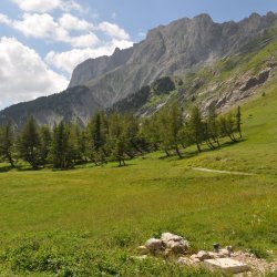 20130725-122446-001-N