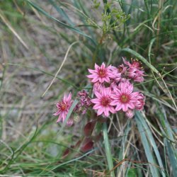 20130725-123008-001-N