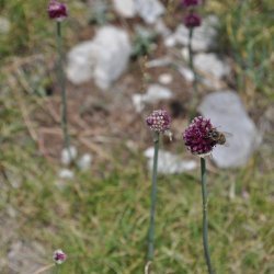 20130725-123050-001-N