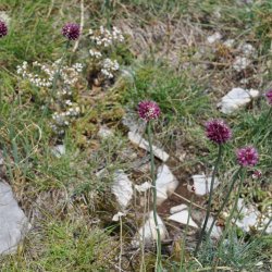 20130725-123058-001-N