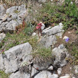 20130725-123112-001-N