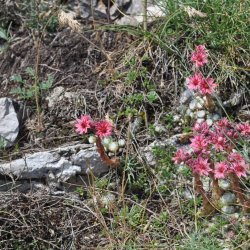 20130725-123138-001-N