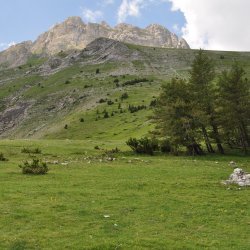 20130725-123350-001-N