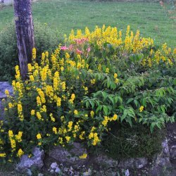 20130725-213034-001-N