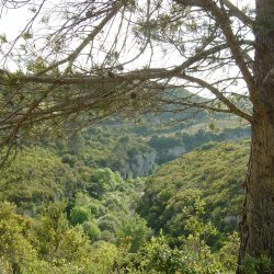 20100514-185537-2103