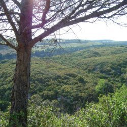 20100514-185548-2104