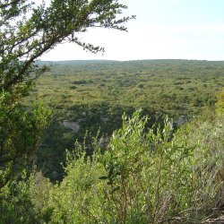 20100514-185609-2105