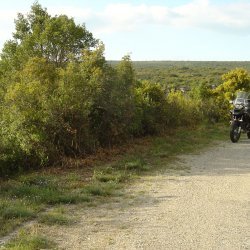 20100514-185644-2106