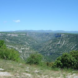 20100521-115929-2108