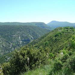 20100521-120000-2109