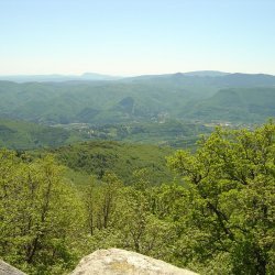 20100521-125632-2112