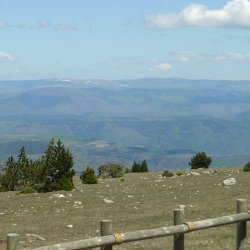 20100521-133357-2117