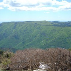 20100521-133545-2118