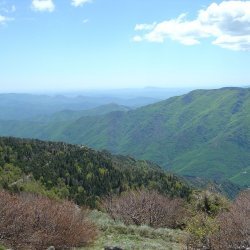 20100521-133550-2119