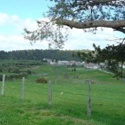 20100521-162424-2121