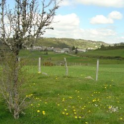 20100521-162449-2122