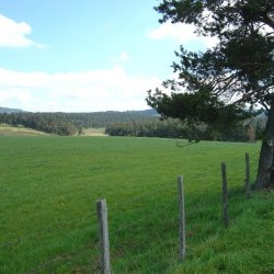 20100521-162507-2123