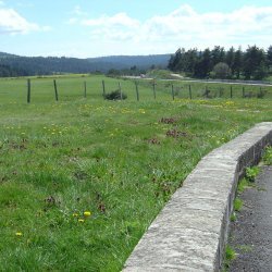 20100521-162630-2126