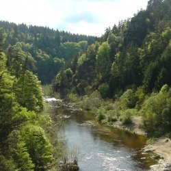 20100521-172458-2129