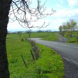 20100521-175659-2131