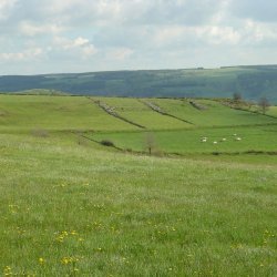 20100521-175802-2134