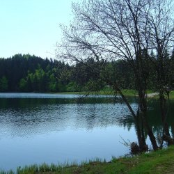 20100522-122602-2135