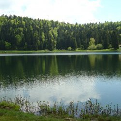 20100522-122624-2136