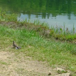 20100522-125712-2137