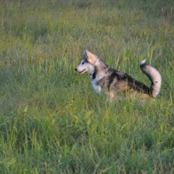 20160909-193406-058-N