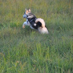 20160909-193407-060-N