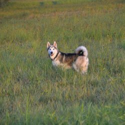 20160909-193411-065-N