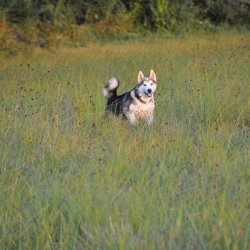 20160909-193431-069-N