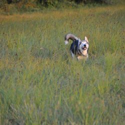 20160909-193432-071-N