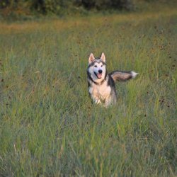 20160909-193434-074-N