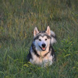 20160909-193438-078-N